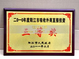 陽(yáng)江市人民政府