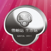 2016年4月定制　上海雪榕公司上市紀念銀磚定制銀條加工定制