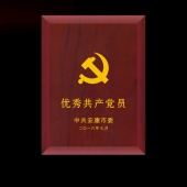 2016年6月定制　安康市委優(yōu)秀共產(chǎn)黨員獎章定制獎章制作