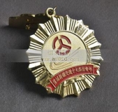 新疆自冶區(qū)十大杰出青年獎(jiǎng)?wù)?杰出青年勛章