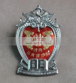 香港外科醫(yī)學(xué)院高級徽章,高檔金屬制品,貴金屬工藝品
