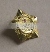 金質(zhì)模范獎章,金質(zhì)模范勛章,五角勛章,五角獎章,鍍金獎章勛章